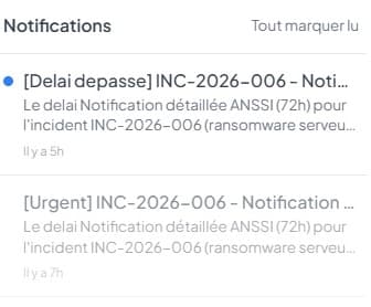 NIS2facile screenshot 7